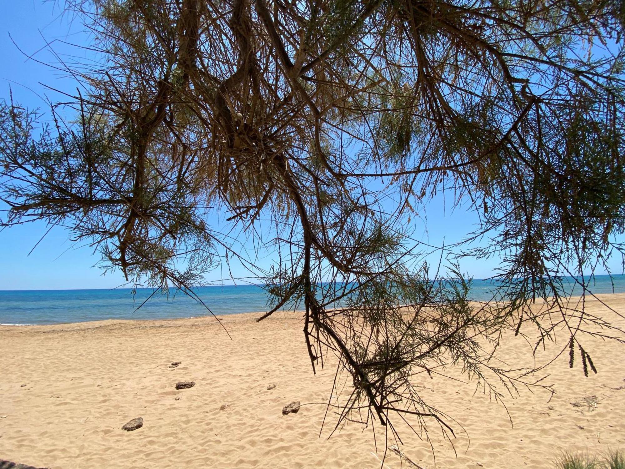 Sea View - Beautiful Private Terrace With Bbq Apartment Triscina